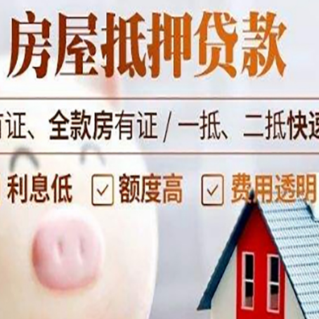 鄂城贷款助贷公司新渝启服成立时间久